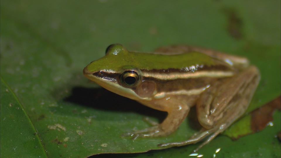 3D列印案件圖片