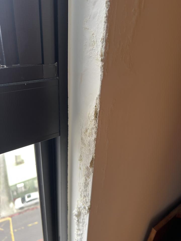 壁癌處理案件圖片