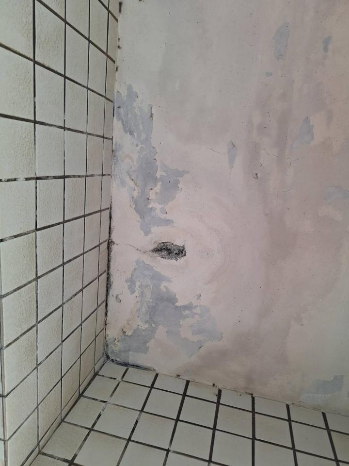 屋頂防水案件圖片