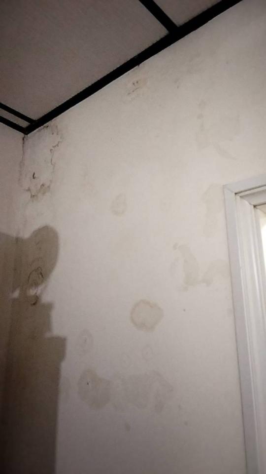 漏水處理案件圖片