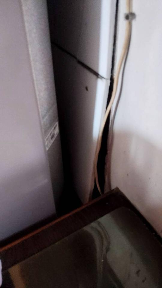 泥作/水泥施工案件圖片