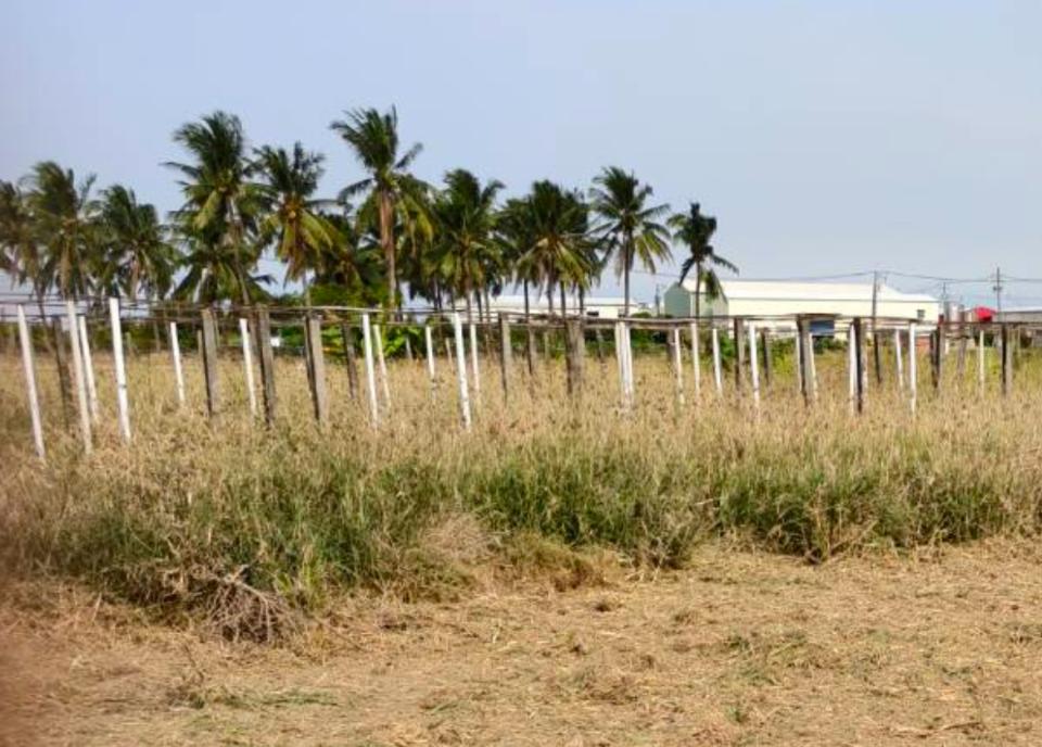 環保工程案件圖片