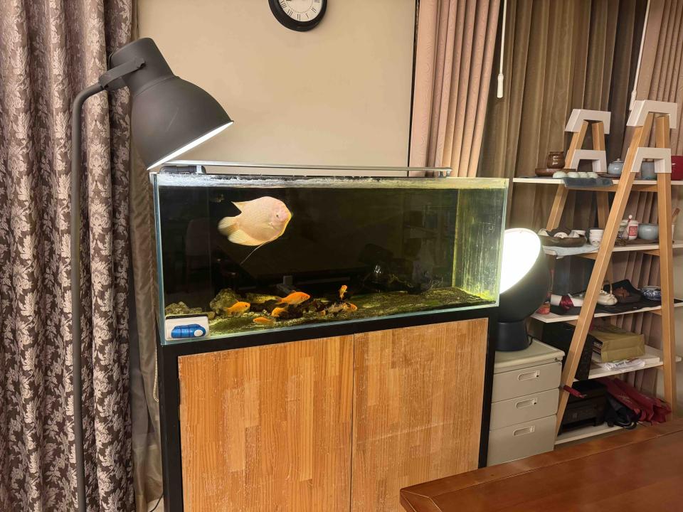 家具搬運案件圖片