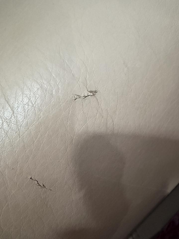 沙發修理案件圖片