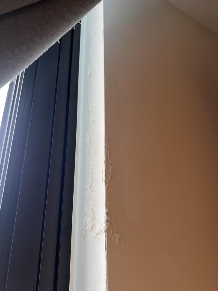 壁癌處理案件圖片