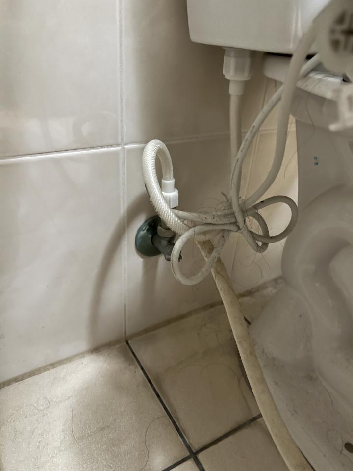 馬桶裝修案件圖片