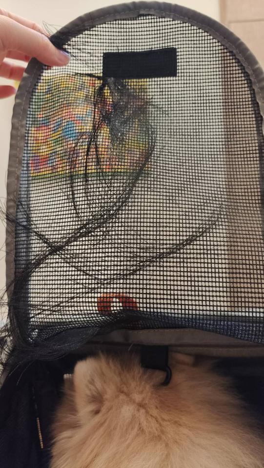 修鞋修包案件圖片