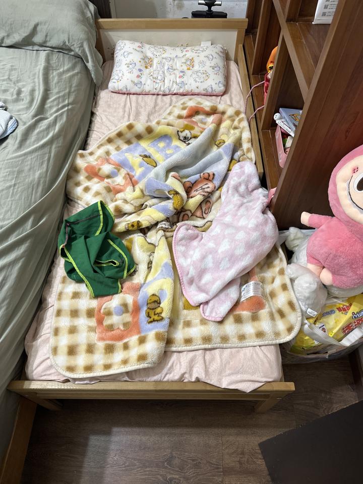 大型垃圾回收案件圖片