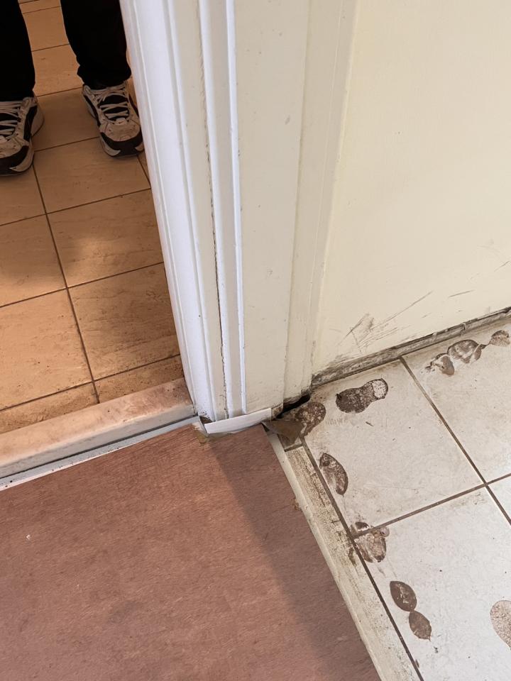 木工施工案件圖片