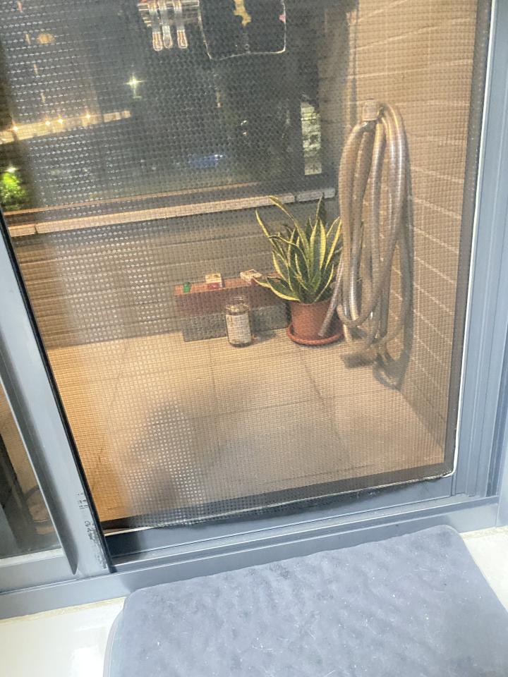 紗窗裝修案件圖片