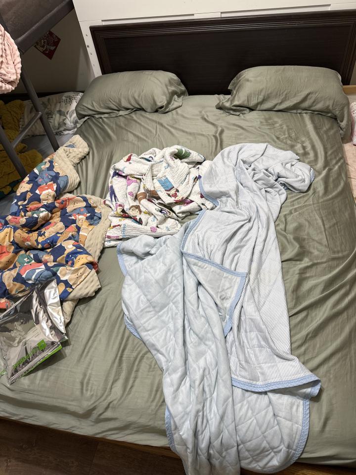 大型垃圾回收案件圖片