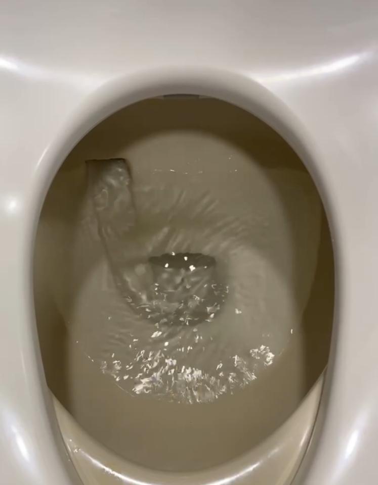 馬桶裝修案件圖片