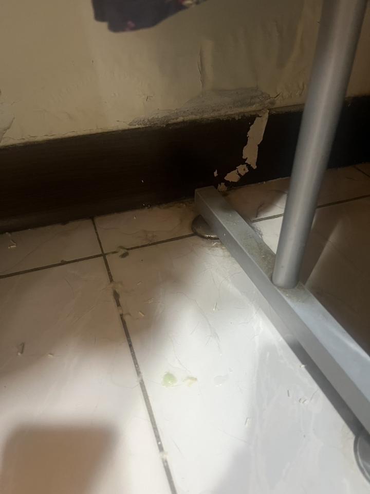 漏水鑑定案件圖片