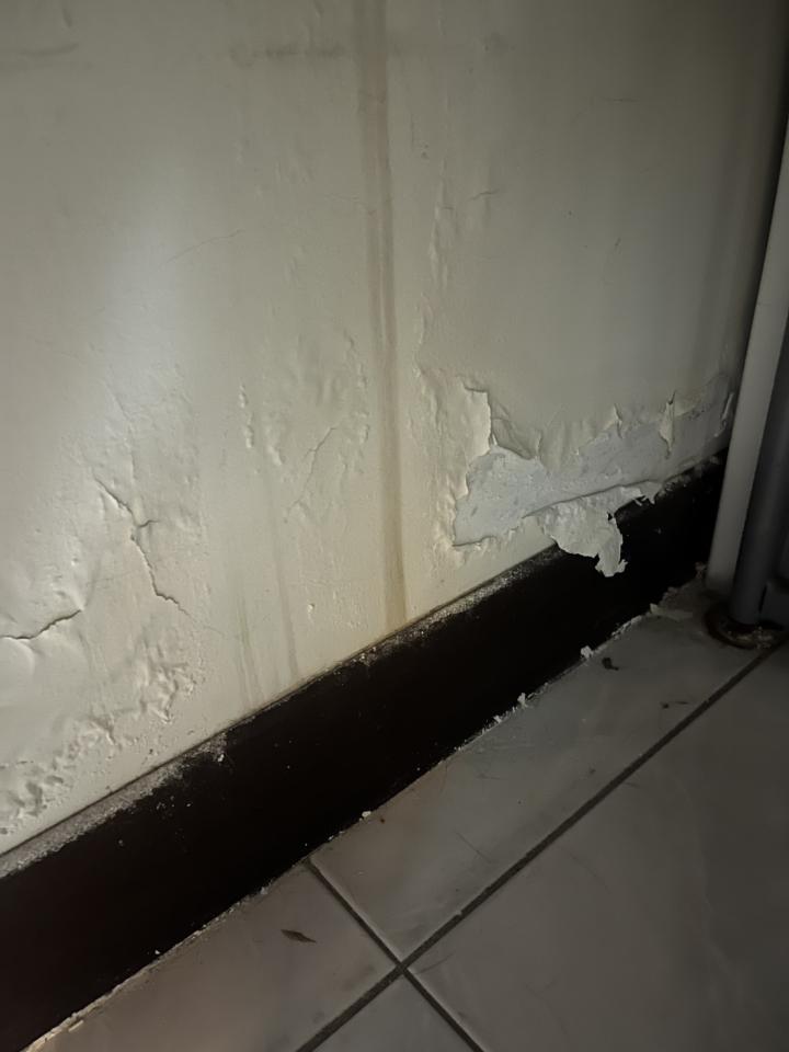 漏水鑑定案件圖片