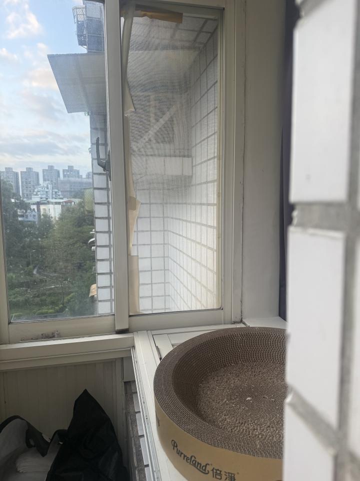 紗窗裝修案件圖片