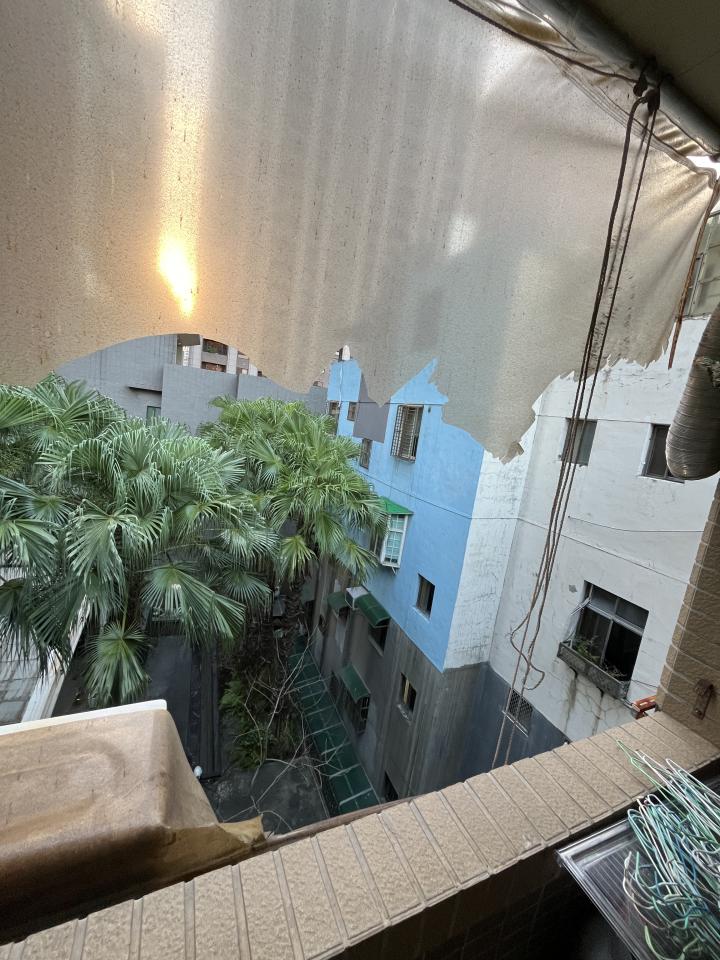 遮陽網工程案件圖片