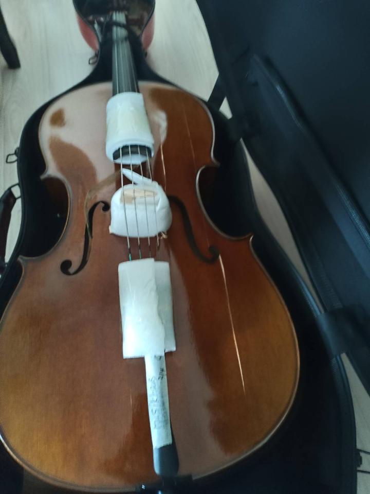 樂器行案件圖片