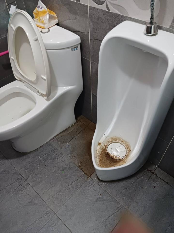 通馬桶案件圖片