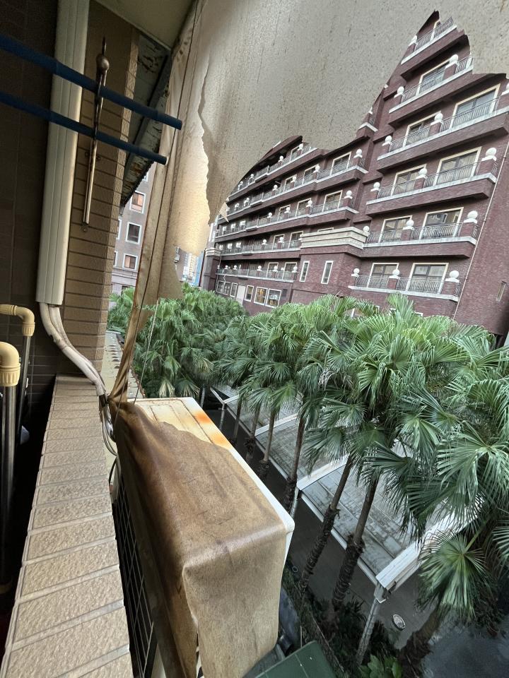 遮陽網工程案件圖片