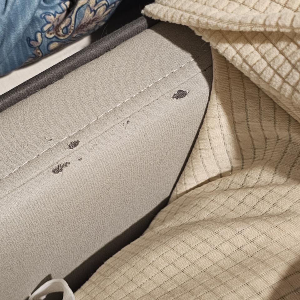 沙發修理案件圖片