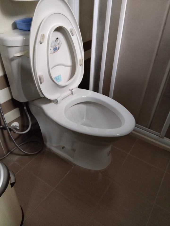 馬桶裝修案件圖片