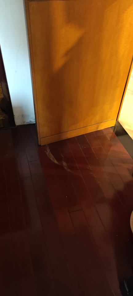 地板維修案件圖片
