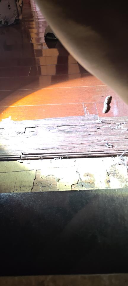 地板維修案件圖片