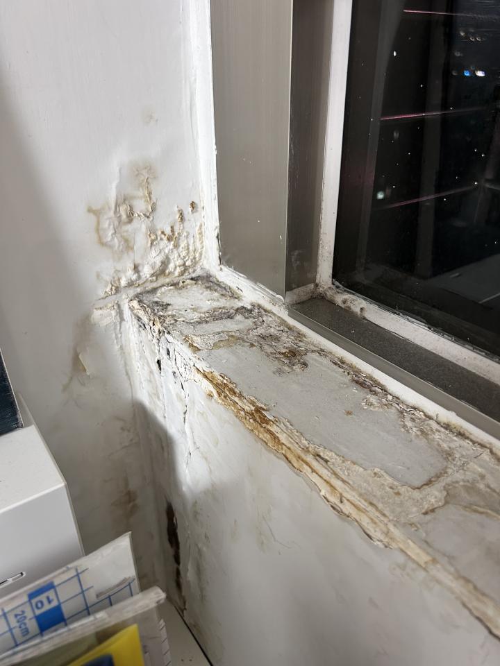 壁癌處理案件圖片