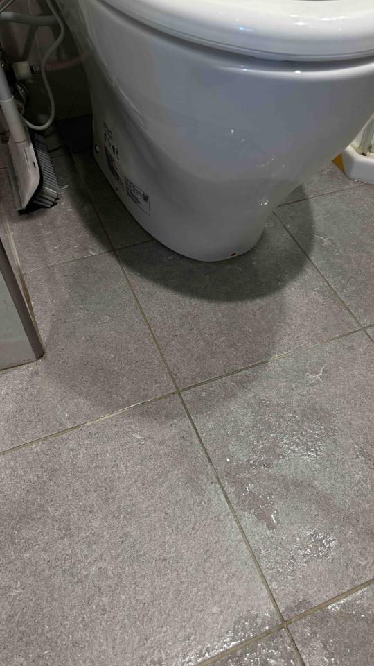 馬桶裝修案件圖片