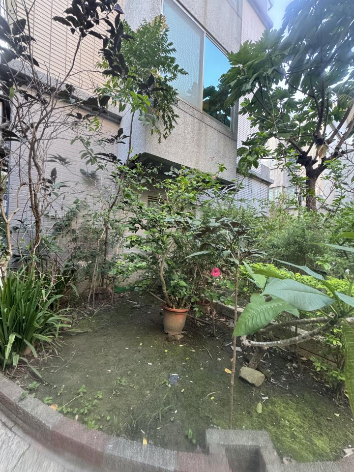 園藝維護案件圖片