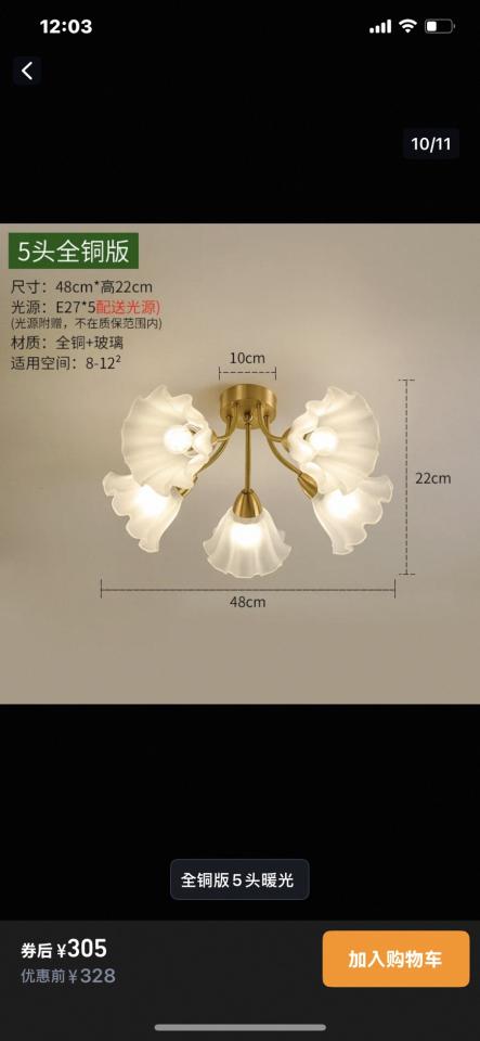 燈具安裝案件圖片