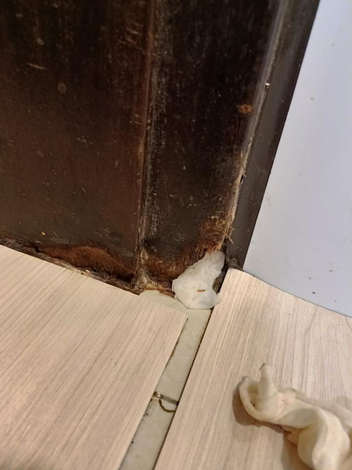 門片維修案件圖片