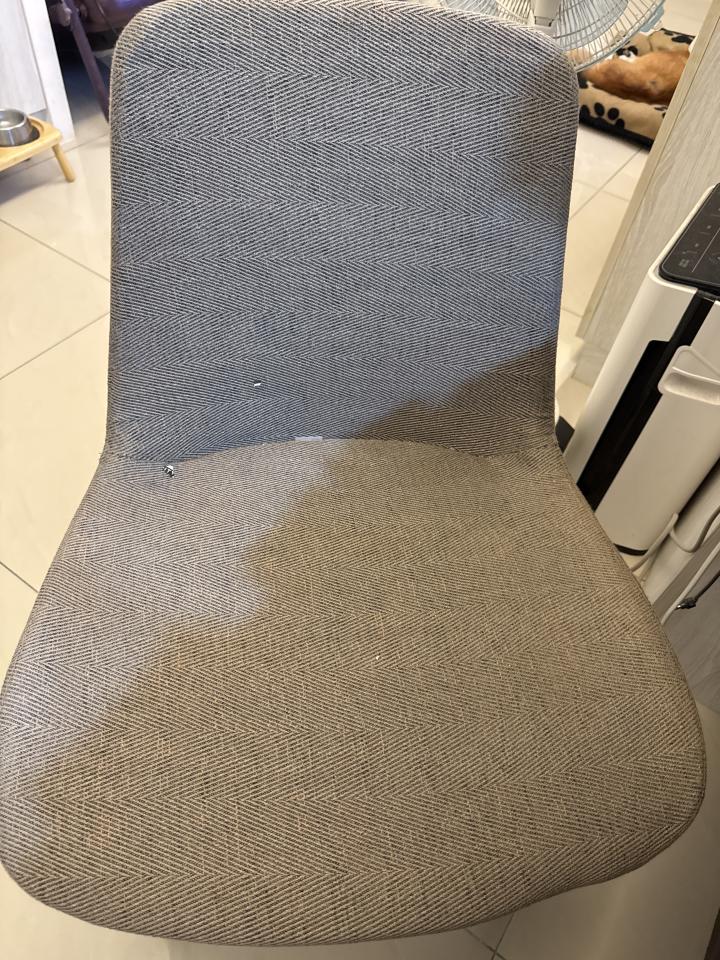 沙發清潔案件圖片