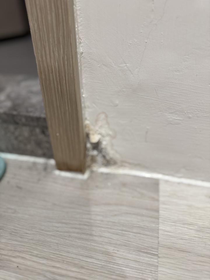 壁癌處理案件圖片