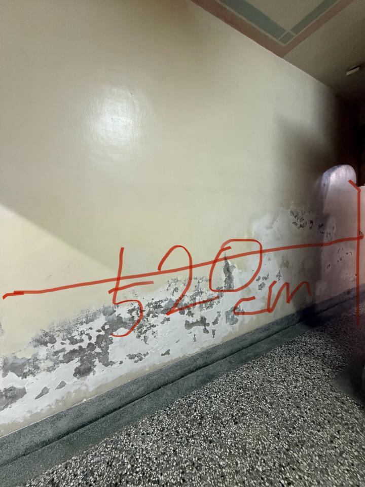 油漆工程案件圖片