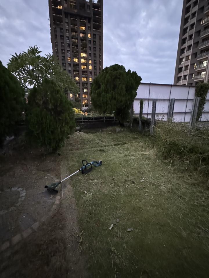 園藝維護案件圖片