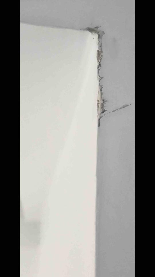 油漆工程案件圖片