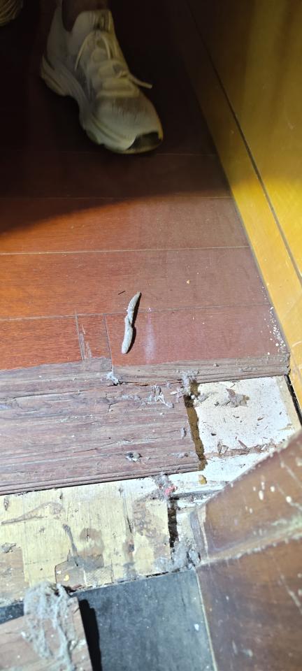 地板維修案件圖片