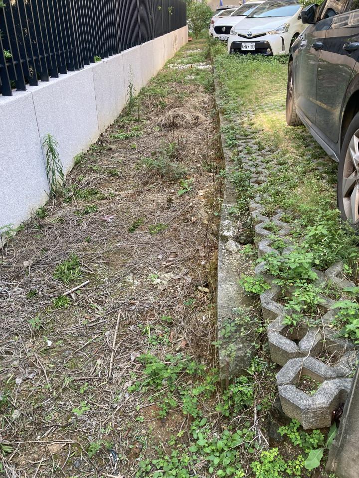 園藝設計案件圖片