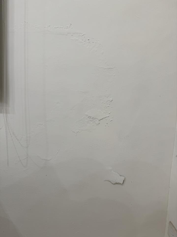 壁癌處理案件圖片