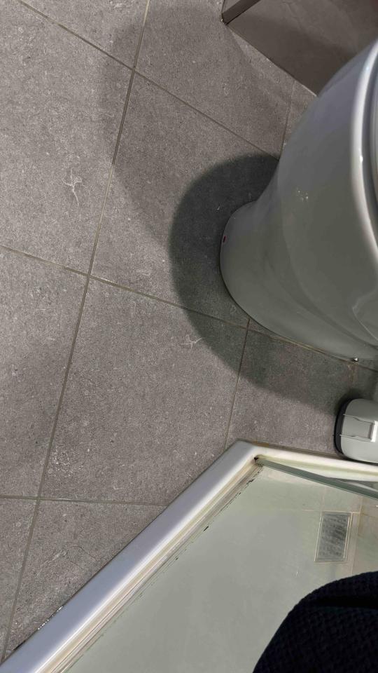 馬桶裝修案件圖片