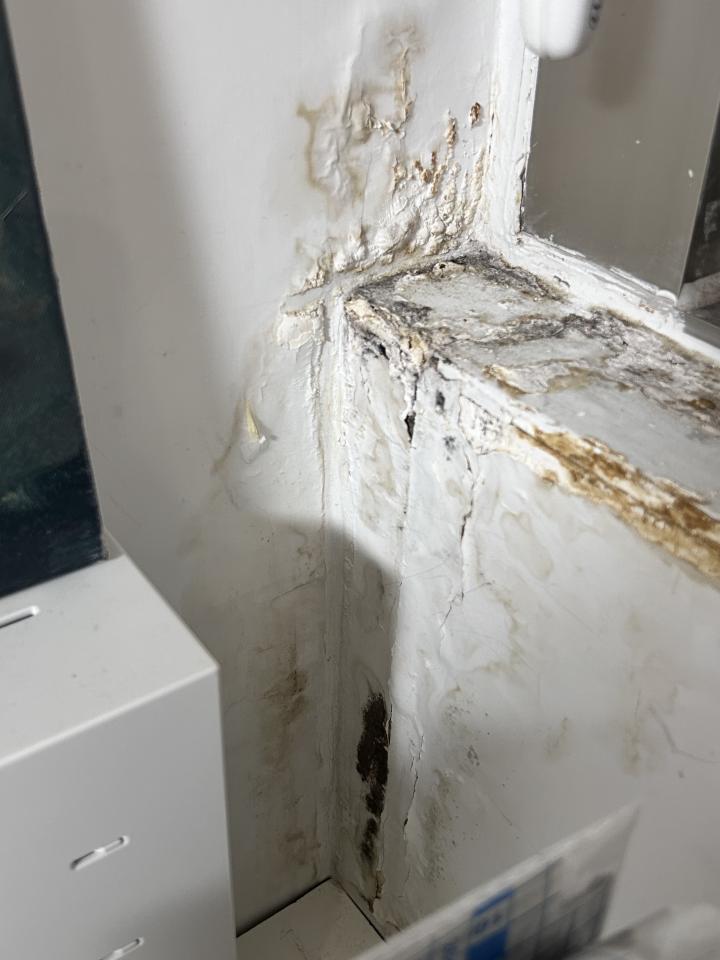 壁癌處理案件圖片