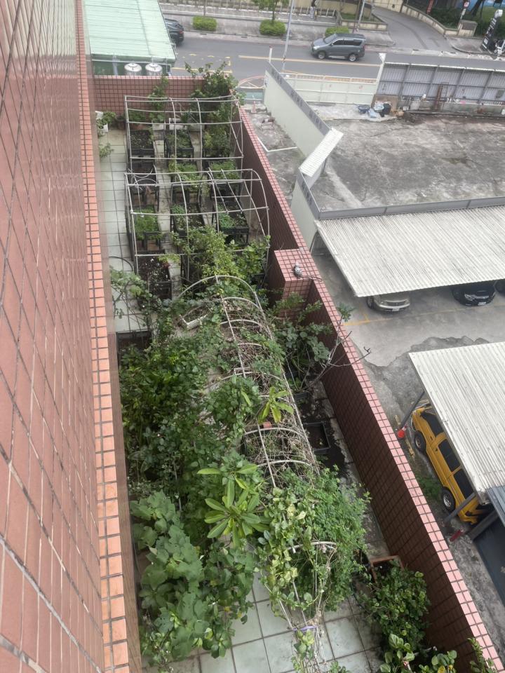 園藝維護案件圖片