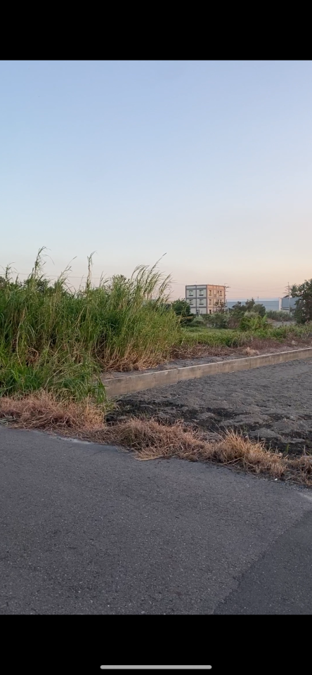 園藝維護案件圖片