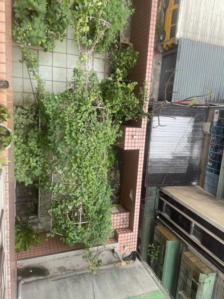 園藝維護案件圖片