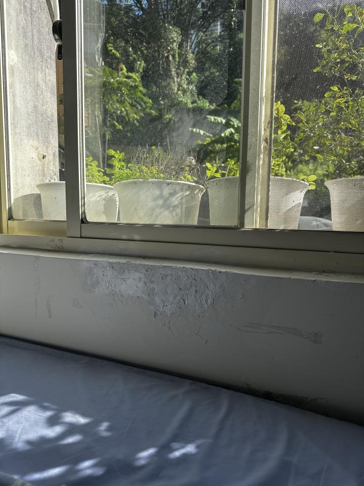 壁癌處理案件圖片