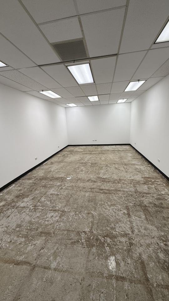 地毯訂製案件圖片