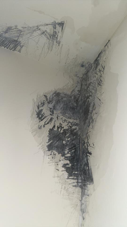 漏水處理案件圖片