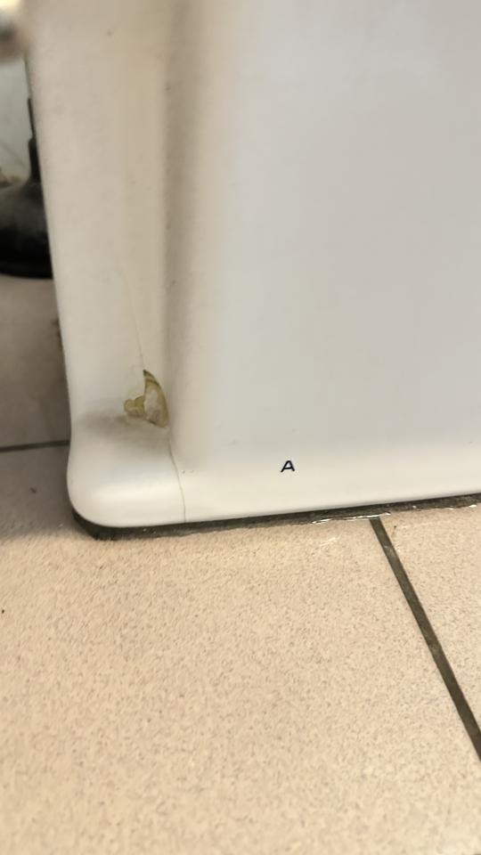 馬桶裝修案件圖片