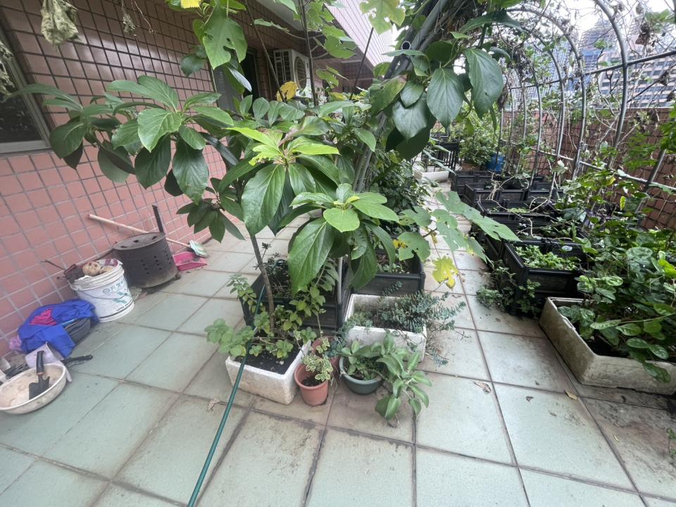 園藝維護案件圖片